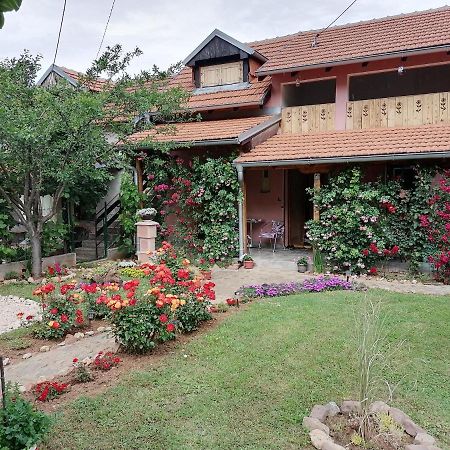 Apartman Mika Soko Banja Bagian luar foto