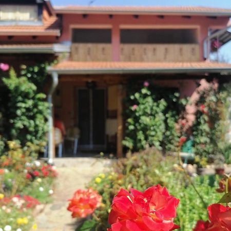 Apartman Mika Soko Banja Bagian luar foto