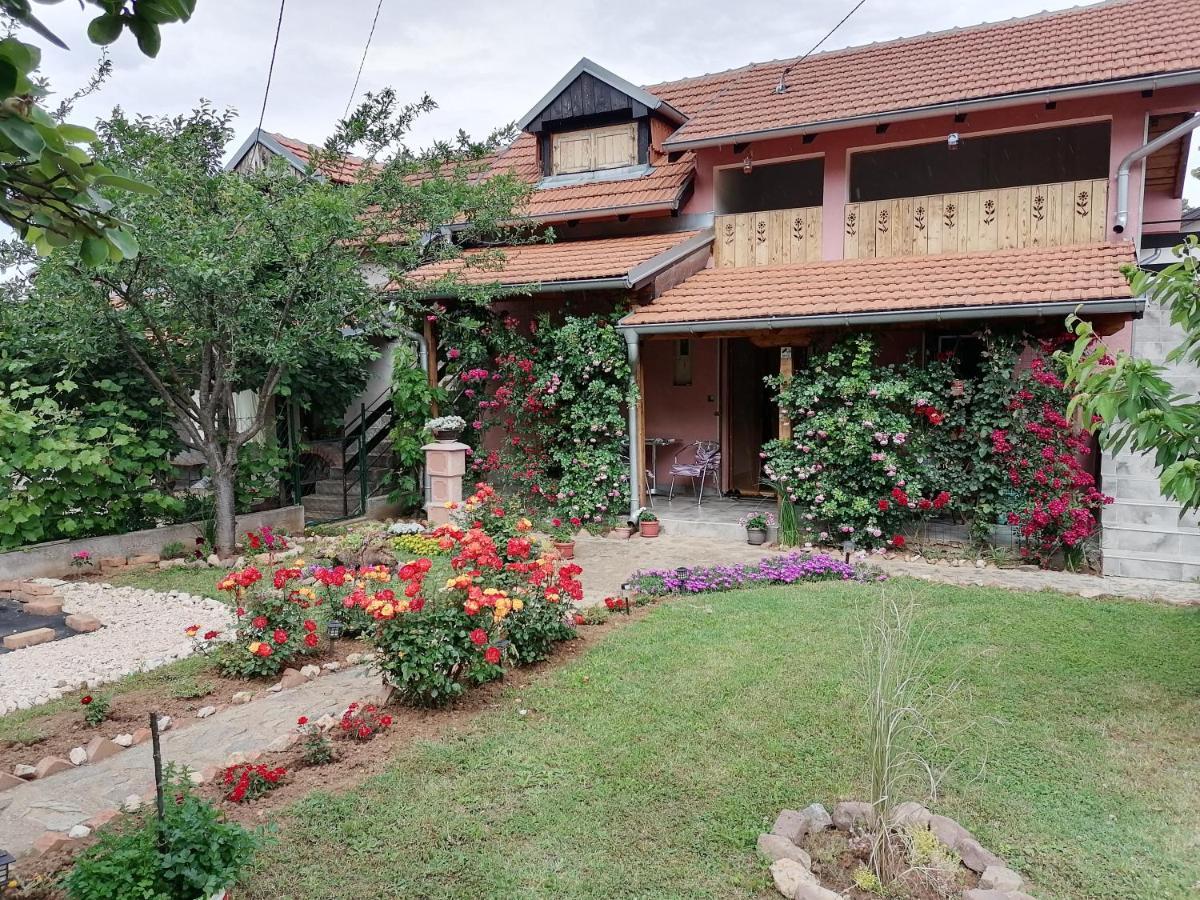 Apartman Mika Soko Banja Bagian luar foto