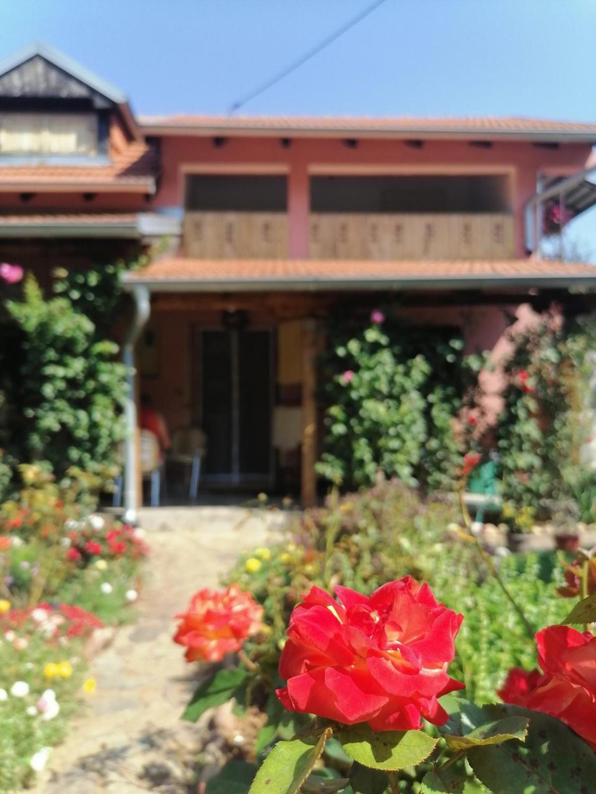 Apartman Mika Soko Banja Bagian luar foto